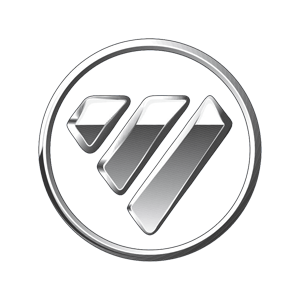 Foton